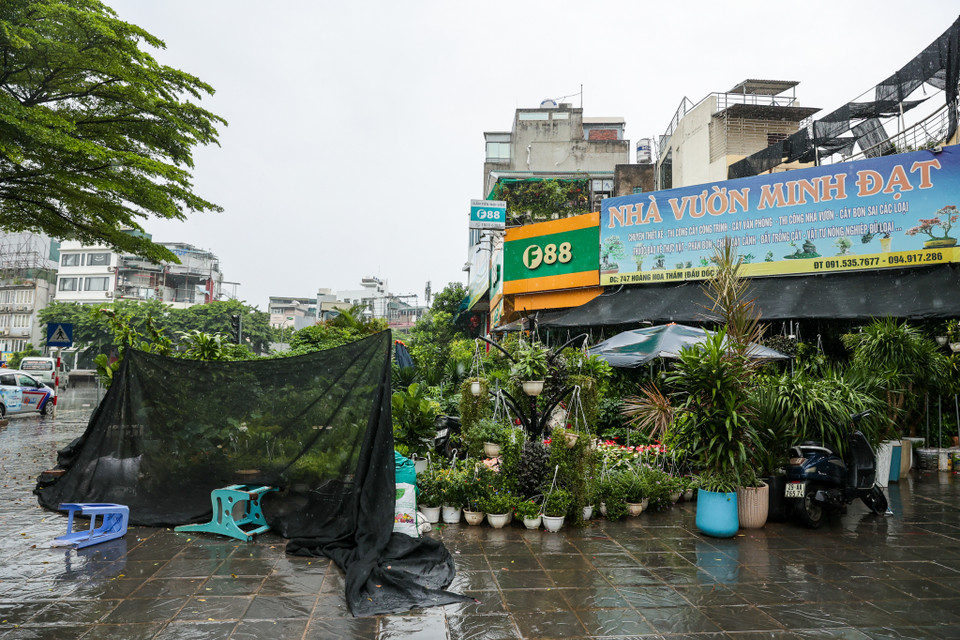 Các cửa hàng bán chậu cây cảnh dọc tuyến đường Hoàng Hoa Thám cũng đã dùng bao tải để chặn và quây hàng hoá lại trước giờ cơn bão đổ bộ. (Ảnh: Minh Sơn/Vietnam+)