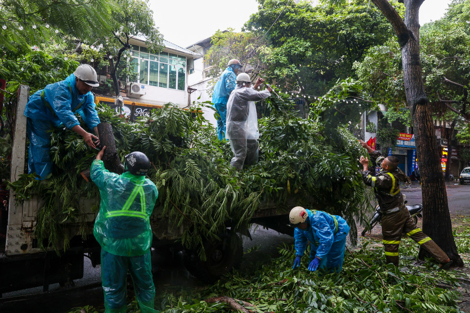 Lực lượng Công ty cây xanh môi trường Hà Nội đi thu dọn lại những cành cây bị gãy đổ trong trận giông lốc chiều 6/9 đồng thời cũng cắt bỏ những cành cây có nguy cơ. (Ảnh: Minh Sơn/Vietnam+)