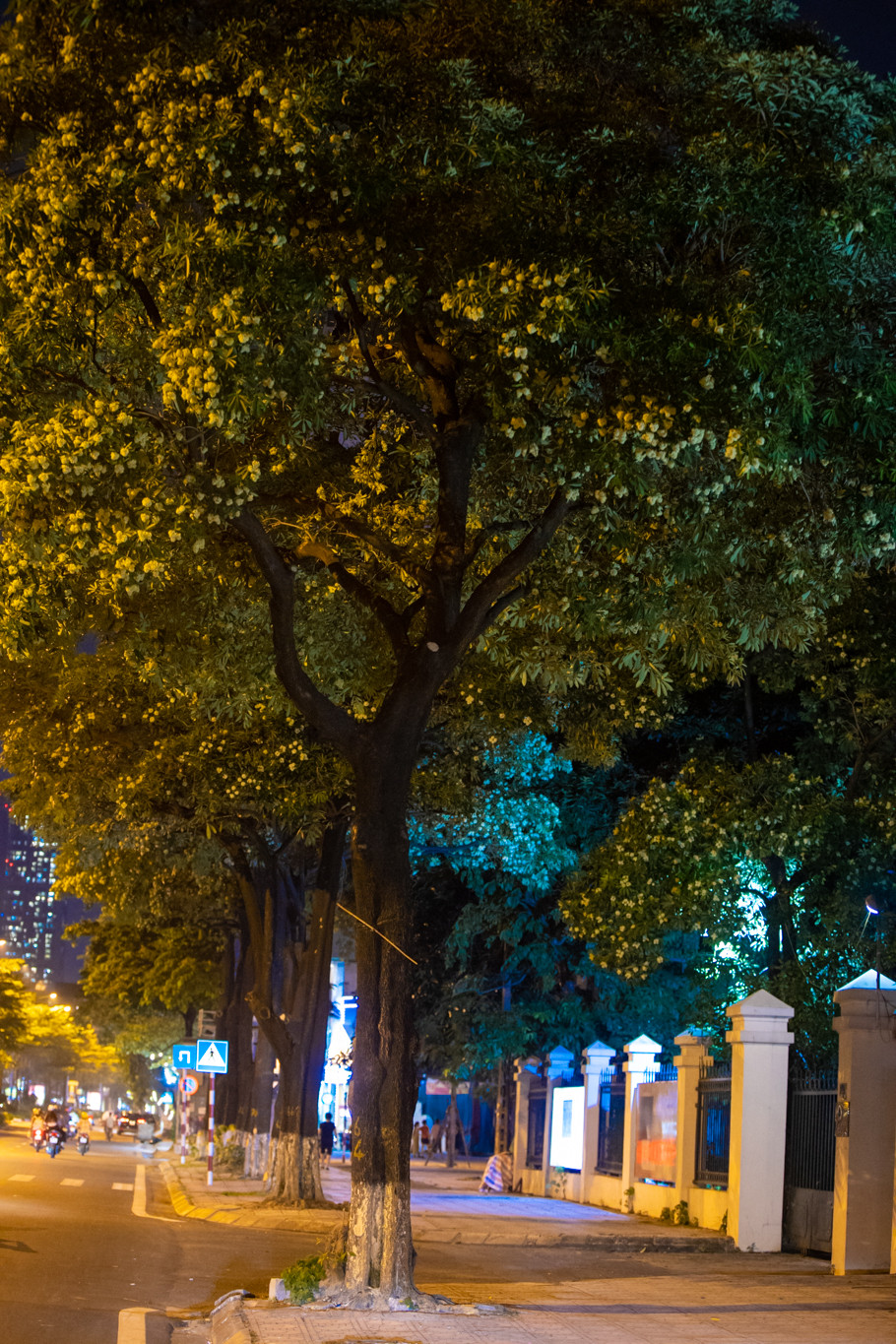 Không gì tuyệt vời hơn khi được lang thang trên những con phố ban đêm, hít hà cái hương hoa ngào ngạt để cảm nhận trọn vẹn mùa Thu Hà Nội. (Ảnh: Minh Sơn/Vietnam+)