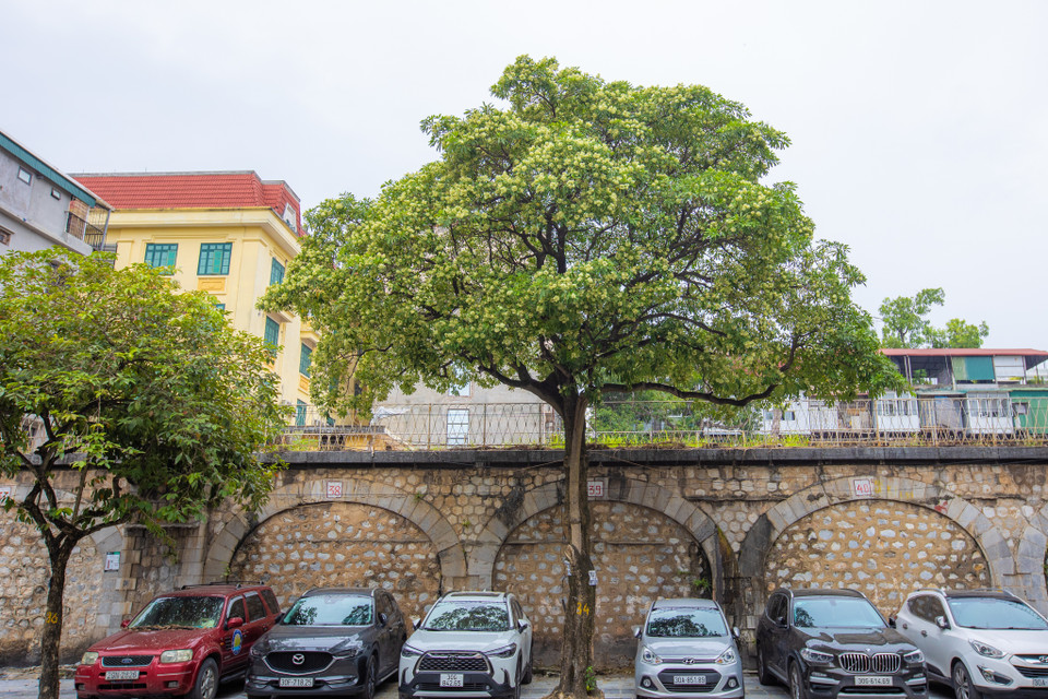 Du khách đến với Thủ đô những ngày mùa Thu thật khó để từ chối việc ngồi ở góc phố nào đó, nhẩn nha ly cà phê và cảm nhận một hương vị rất riêng. (Ảnh: Minh Sơn/Vietnam+)