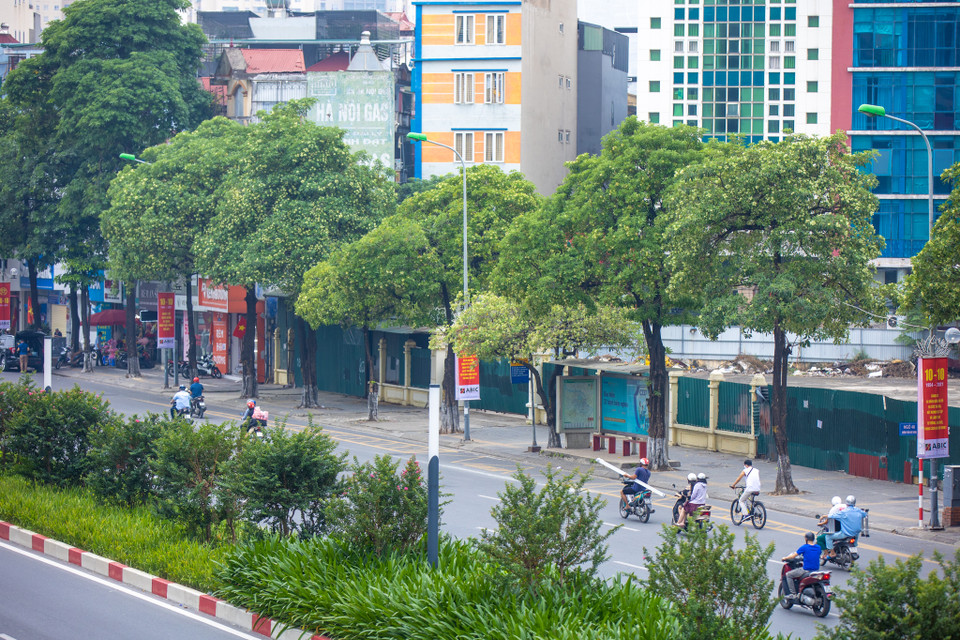 Thu Hà Nội có tiết trời se lạnh càng làm hoa sữa nổi bật lên bởi màu sắc và hương thơm đặc trưng. (Ảnh: Minh Sơn/Vietnam+)