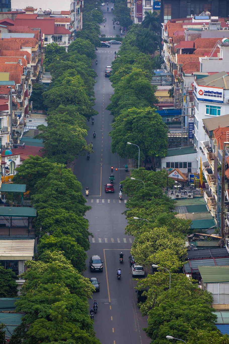 Những ngày cuối Thu, khi thời tiết dịu nhẹ, bỗng một cơn gió se se lạnh tràn về thành phố cũng là lúc người ta cảm nhận được một mùi hương nồng nàn đặc trưng lan tỏa. (Ảnh: Minh Sơn/Vietnam+)