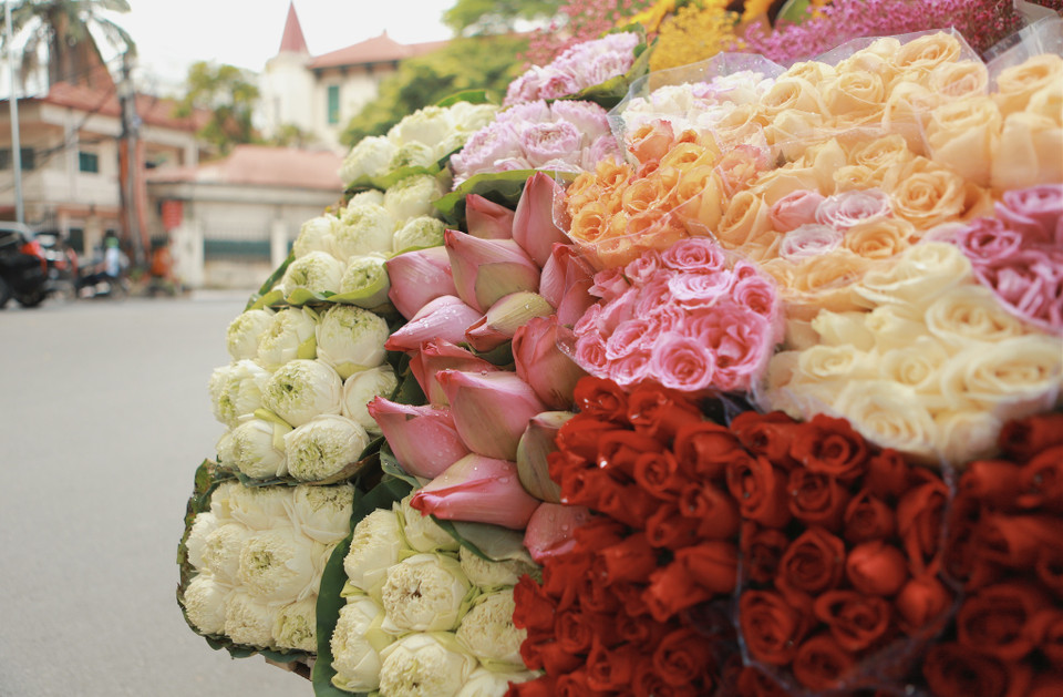 Thu về Hà Nội thay áo mới, sắc lá vàng bay khiến cho ta cảm thấy thật lãng mạn khi qua từng con phố. (Ảnh:Vietnam+)