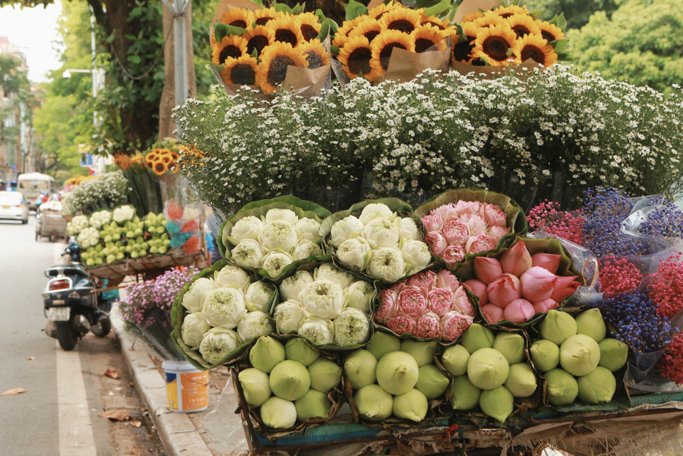 Những gánh hàng rong, những chiếc xe chở đầy hoa sen, cúc họa mi trên các con phố Thu Hà Nội. (Ảnh:Vietnam+)