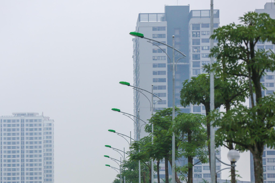 Cây xanh, điện chiếu sáng đã được hoàn thiện. Phần lớn cây xanh ở tuyến đường này là bàng lá nhỏ (bàng Đài Loan). (Ảnh: Minh Sơn/Vietnam+)