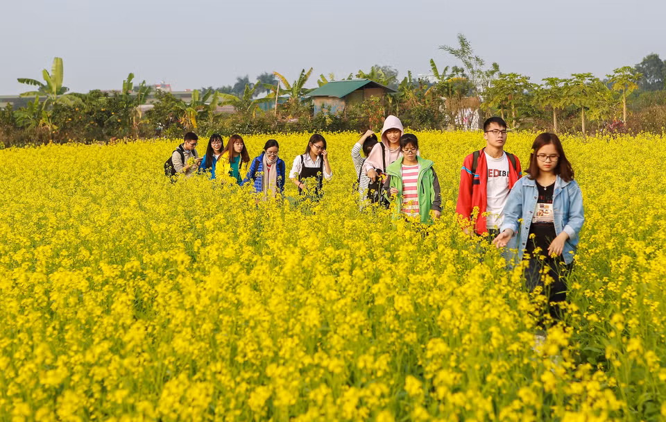 (Ảnh: Thế Đại/Vietnam+)