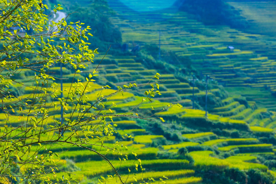 (Ảnh: Thế Đại/Vietnam+)