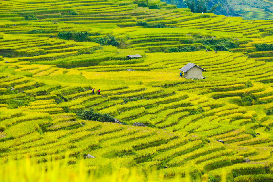 (Ảnh: Thế Đại/Vietnam+)