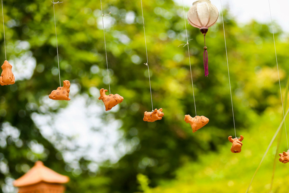 (Ảnh: Thế Đại/Vietnam+)