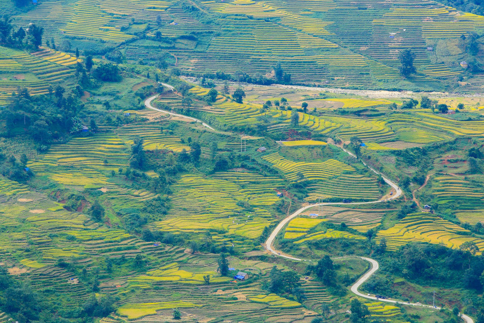 (Ảnh: Thế Đại/Vietnam+)