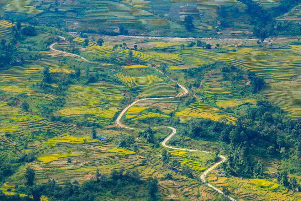 (Ảnh: Thế Đại/Vietnam+)