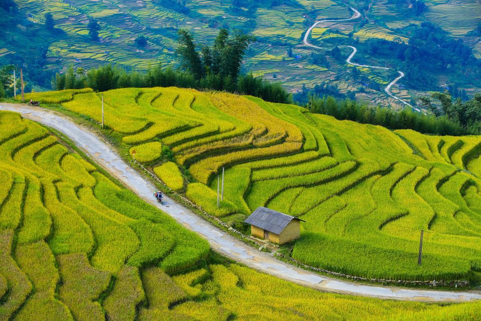 (Ảnh: Thế Đại/Vietnam+)