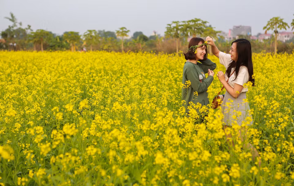 (Ảnh: Thế Đại/Vietnam+)