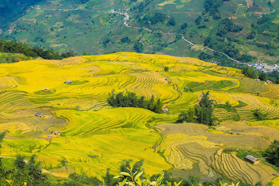 (Ảnh: Thế Đại/Vietnam+)