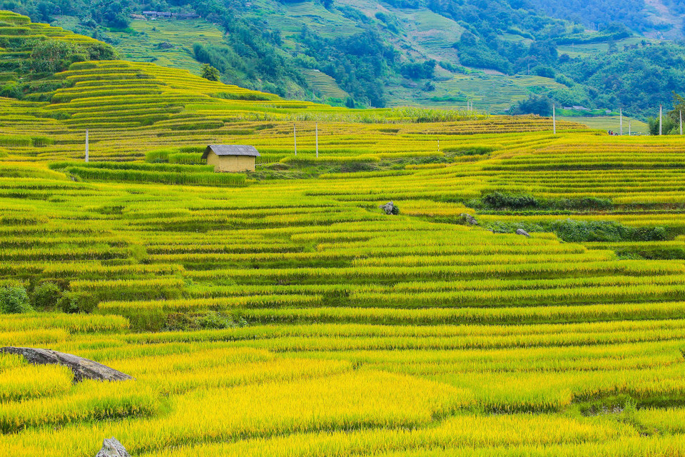 (Ảnh: Thế Đại/Vietnam+)