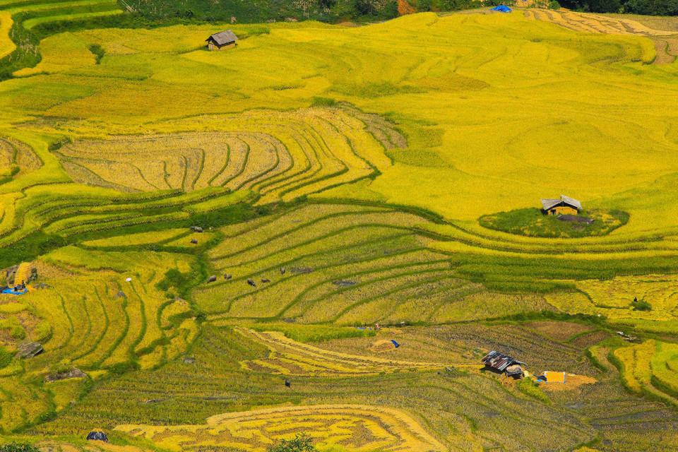 (Ảnh: Thế Đại/Vietnam+)