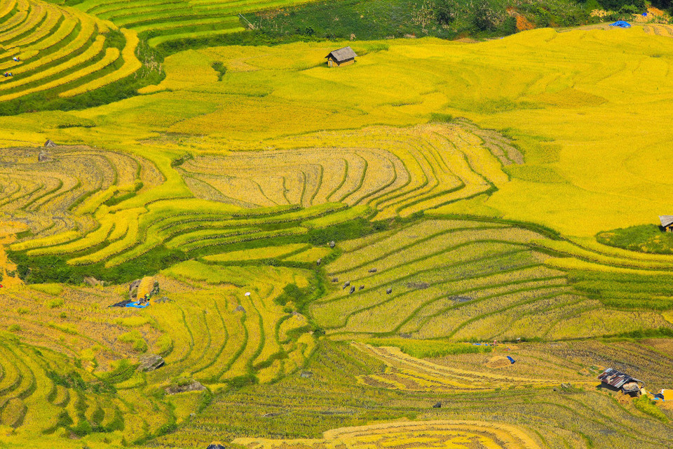(Ảnh: Thế Đại/Vietnam+)