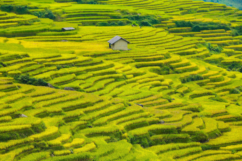 (Ảnh: Thế Đại/Vietnam+)