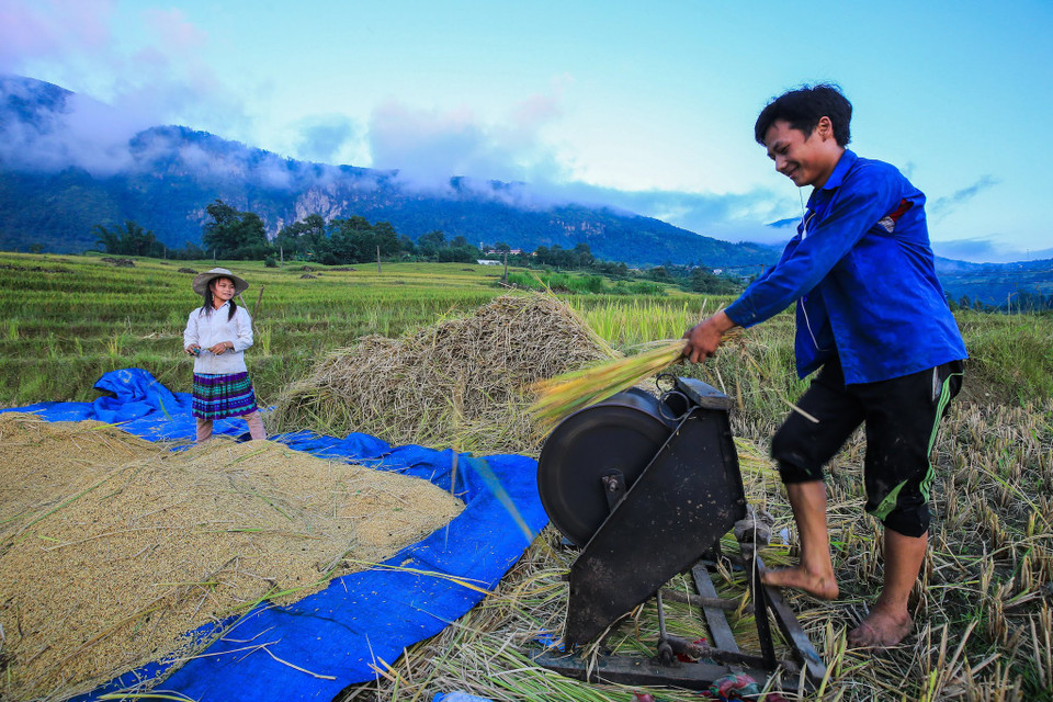 (Ảnh: Thế Đại/Vietnam+)