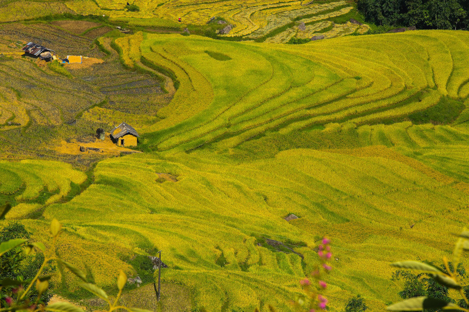 (Ảnh: Thế Đại/Vietnam+)
