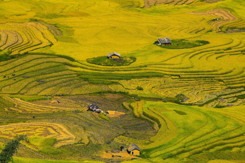 (Ảnh: Thế Đại/Vietnam+)