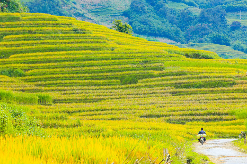 (Ảnh: Thế Đại/Vietnam+)