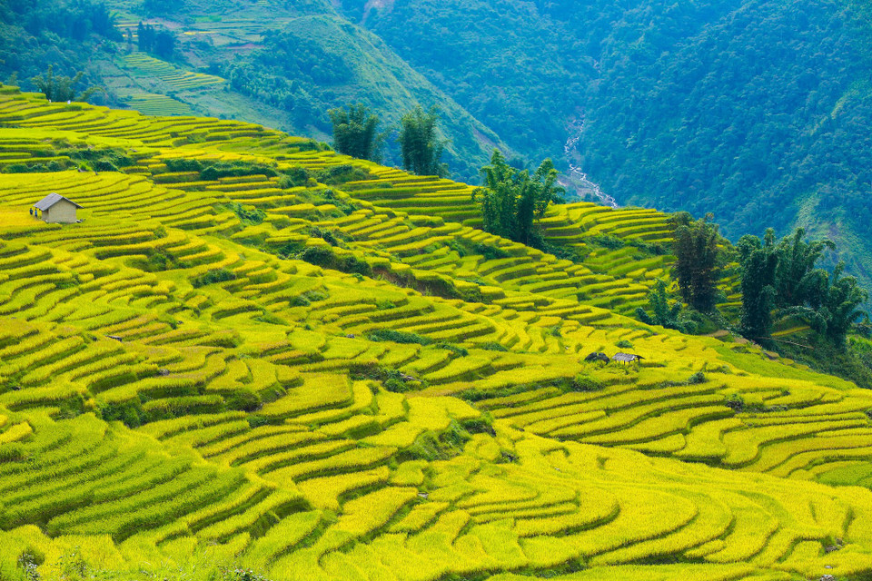 (Ảnh: Thế Đại/Vietnam+)