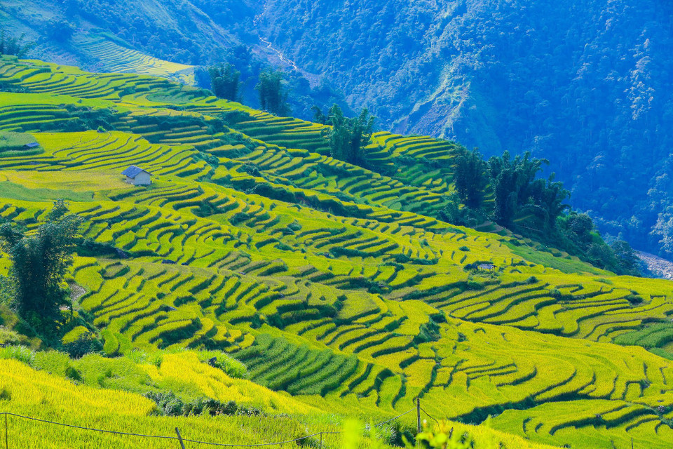 (Ảnh: Thế Đại/Vietnam+)