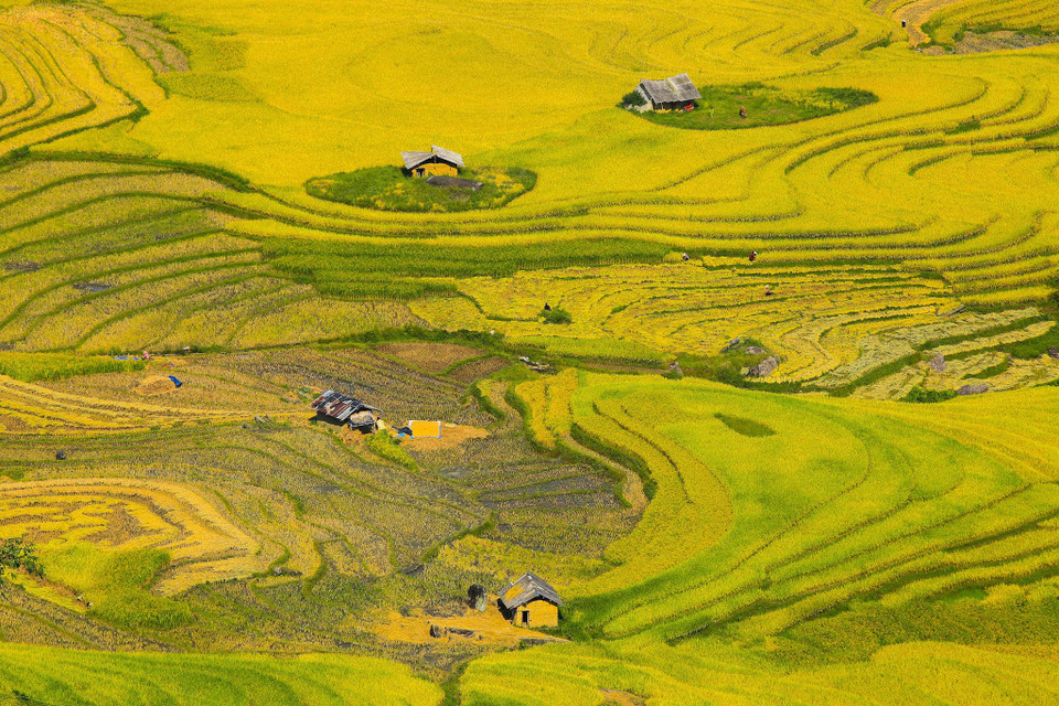 (Ảnh: Thế Đại/Vietnam+)