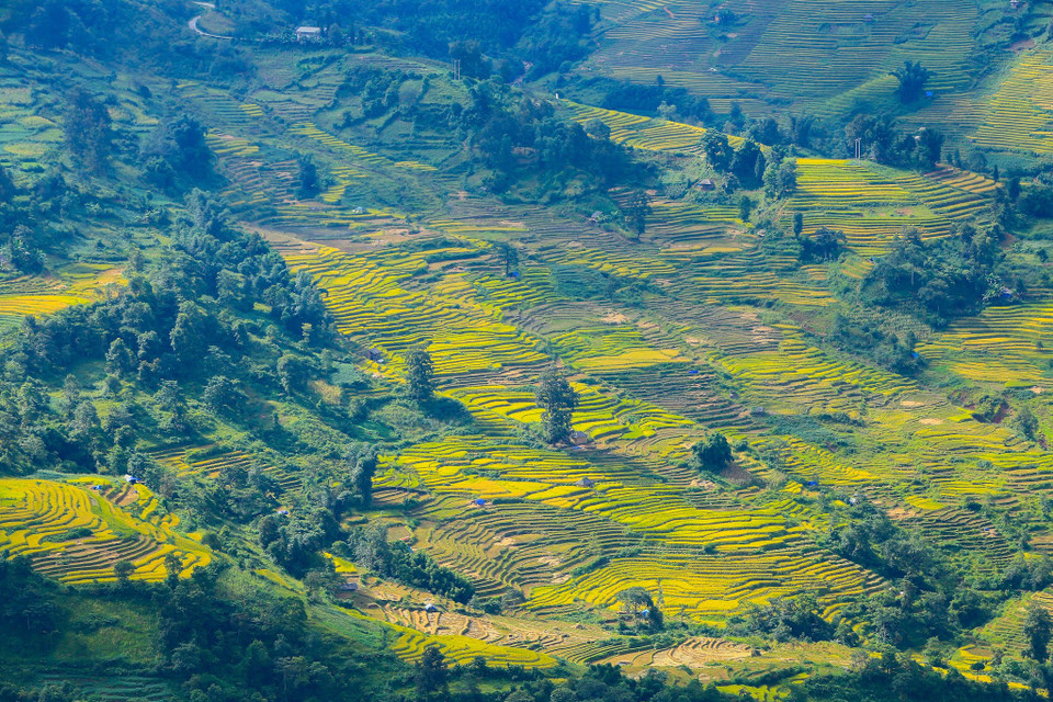 (Ảnh: Thế Đại/Vietnam+)