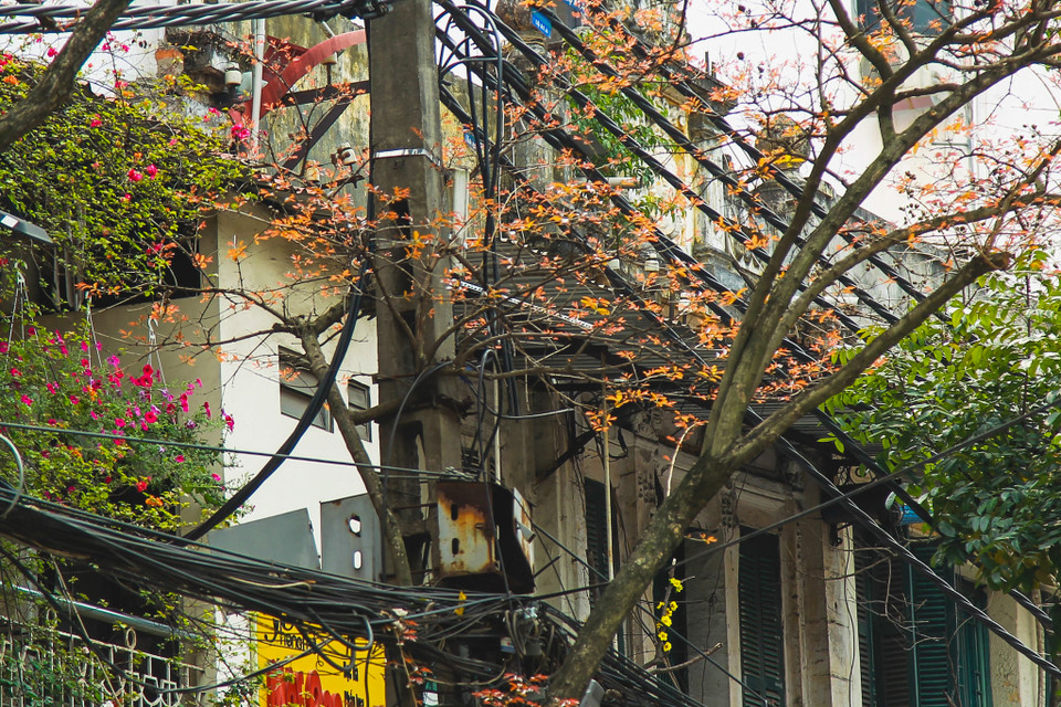 (Ảnh: Thế Đại/Vietnam+)