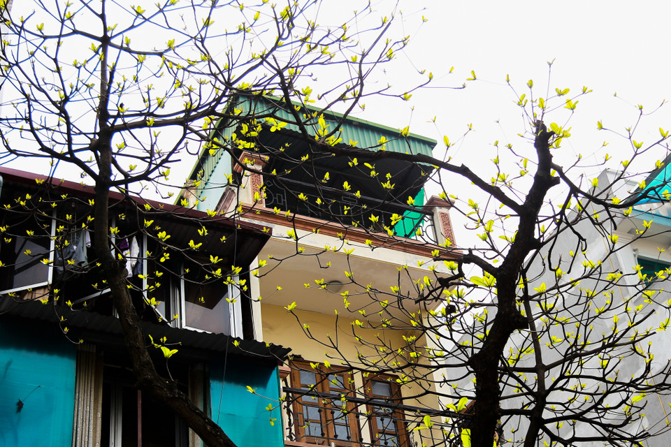 (Ảnh: Thế Đại/Vietnam+)