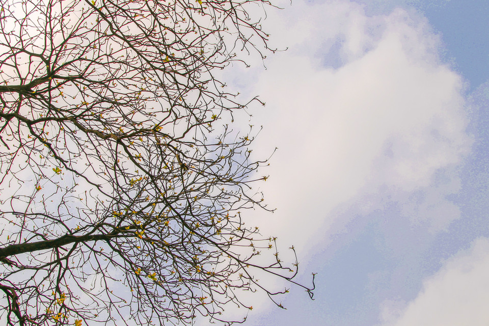 (Ảnh: Thế Đại/Vietnam+)