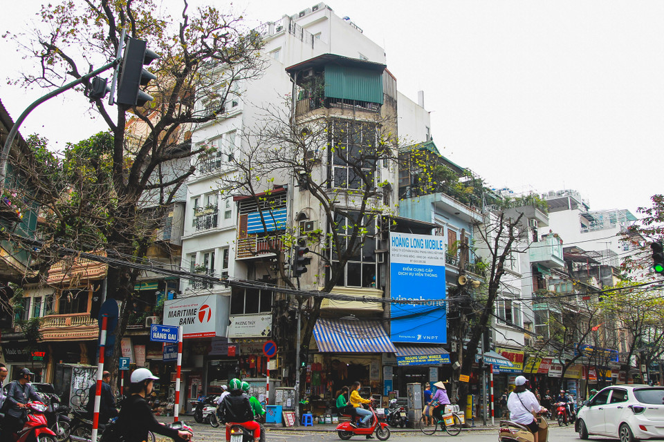 (Ảnh: Thế Đại/Vietnam+)