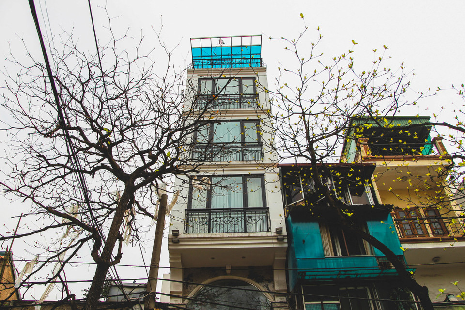 (Ảnh: Thế Đại/Vietnam+)