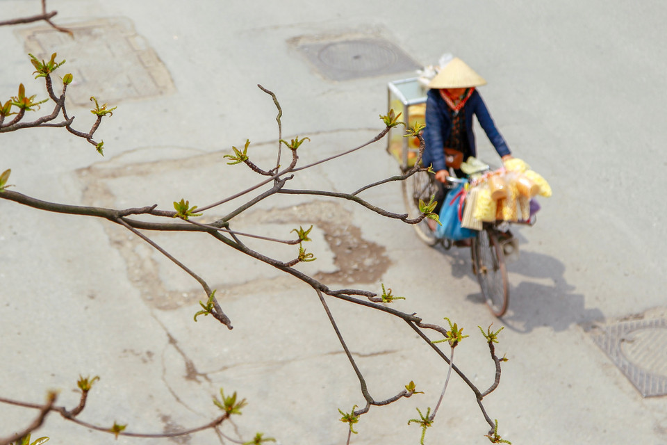 (Ảnh: Thế Đại/Vietnam+)