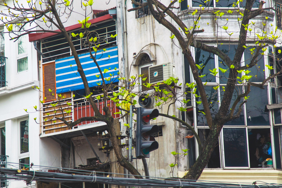 (Ảnh: Thế Đại/Vietnam+)