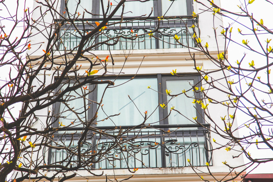 (Ảnh: Thế Đại/Vietnam+)