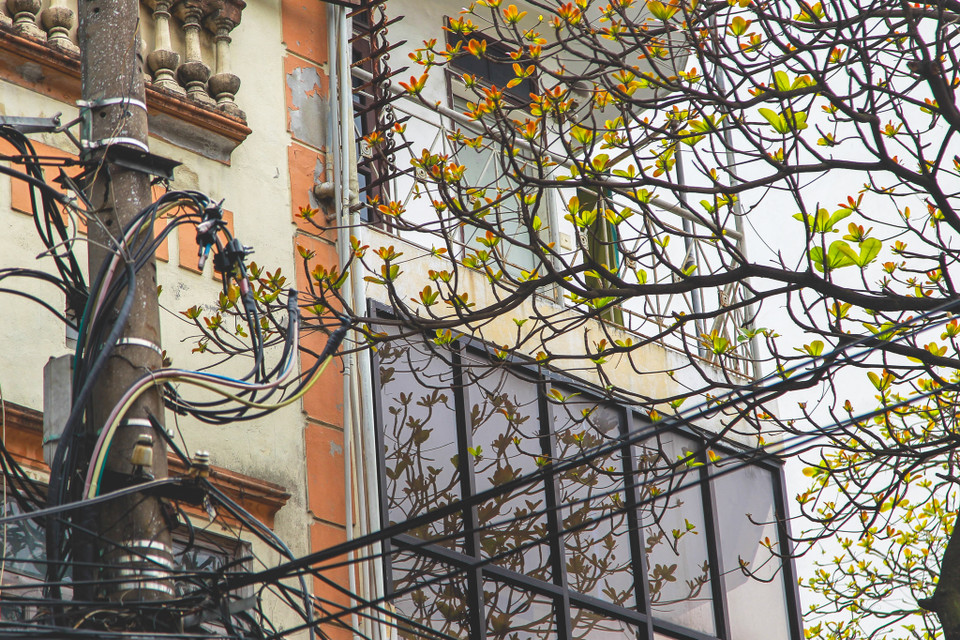 (Ảnh: Thế Đại/Vietnam+)