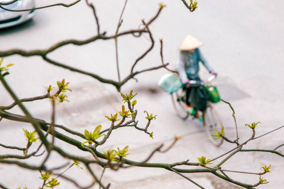 (Ảnh: Thế Đại/Vietnam+)