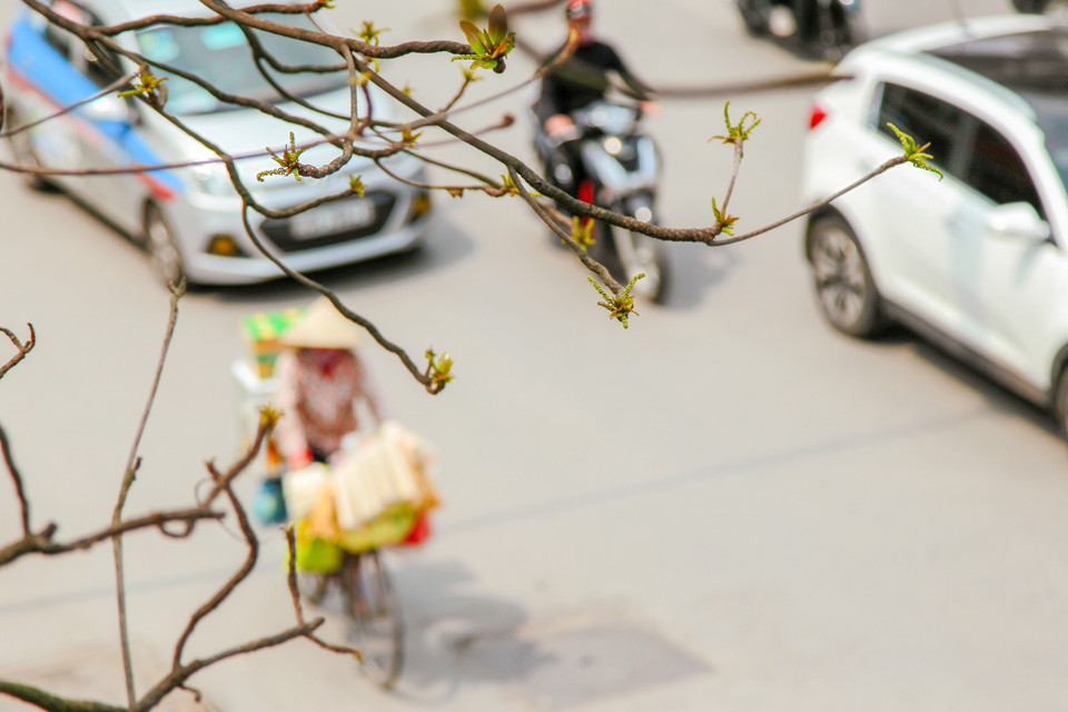 (Ảnh: Thế Đại/Vietnam+)