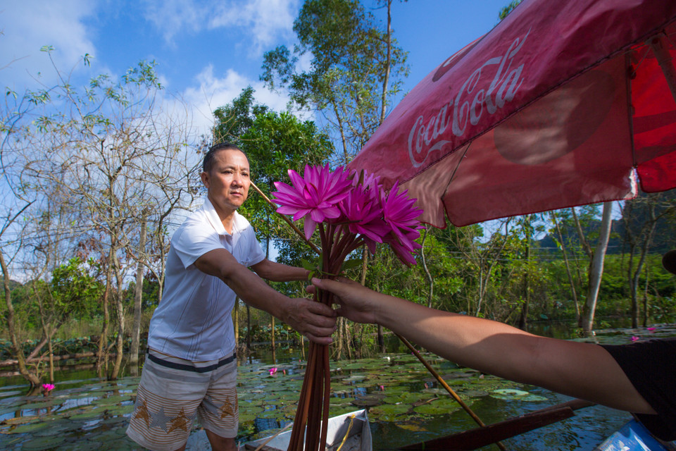Chỉ 50 ngàn/chục bông, ta đã có thể mang một chút hương của chốn 'bồng lai tiên cảnh' này về nhà. (Ảnh: Minh Sơn/Vietnam+)