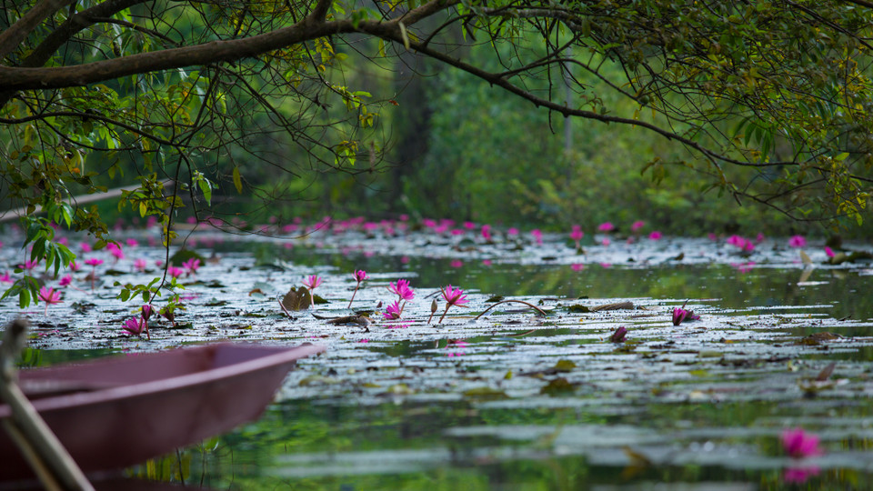 Những ai từng đến chùa Hương (Mỹ Đức, Hà Nội) chắc hẳn sẽ biết đến suối Yến, một nơi có cảnh sắc đẹp với hàng đoàn người lái đò chậm rãi chèo thuyền gọi nhau í ới, đông nghịt trong những mùa lễ hội. (Ảnh: Minh Sơn/Vietnam+)