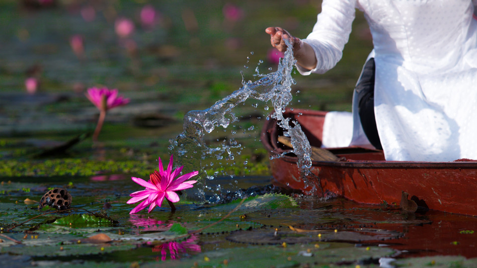 Chiếc thuyền lờ lững trôi theo hàng cây trụi lá soi bóng làn nước điểm xuyết thêm chút sắc hồng tím phơn phớt, bạn chợt nhận ra nơi đây đẹp đến lạ. (Ảnh: Minh Sơn/Vietnam+)