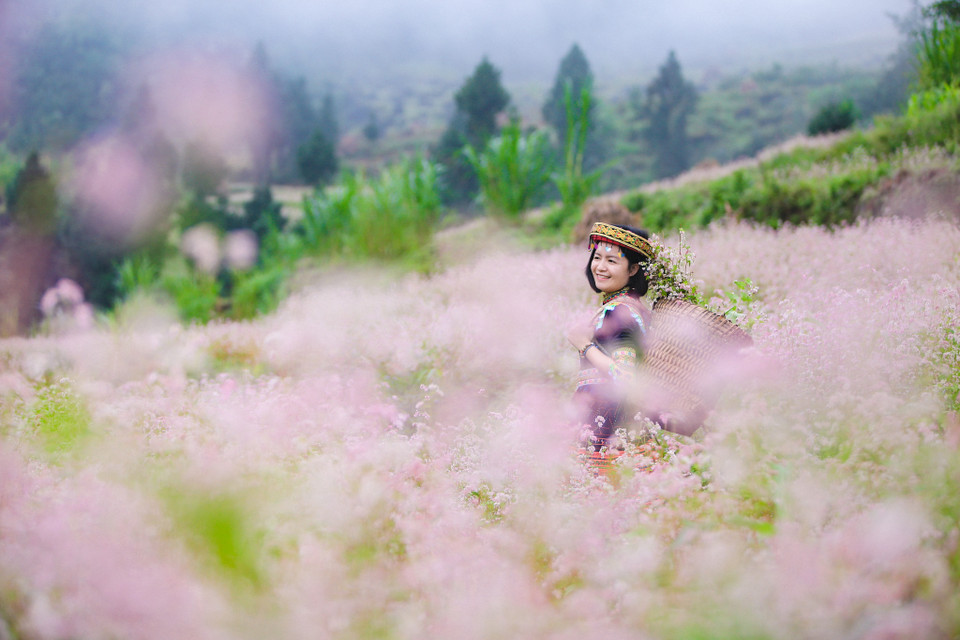 Du khách sẽ được mãn nhãn trước khung cảnh tuyệt đẹp của miền cao nguyên đá. (Ảnh: PV/Vietnam+)