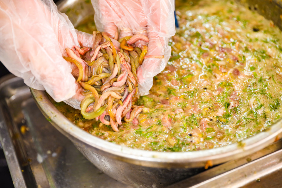 Khi đã thưởng thức hương vị thơm ngậy của những món ăn được làm từ rươi, chắc chắn cảm giác lo sợ sẽ tan biến. (Ảnh: PV/Vietnam+)