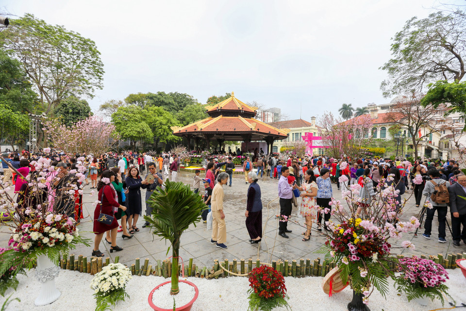 So với năm trước, lễ hội hoa năm nay được đánh giá tốt hơn khi xuất hiện rất nhiều giống hoa anh đào của Nhật Bản 'xịn'. (Ảnh: Minh Sơn/Vietnam+)