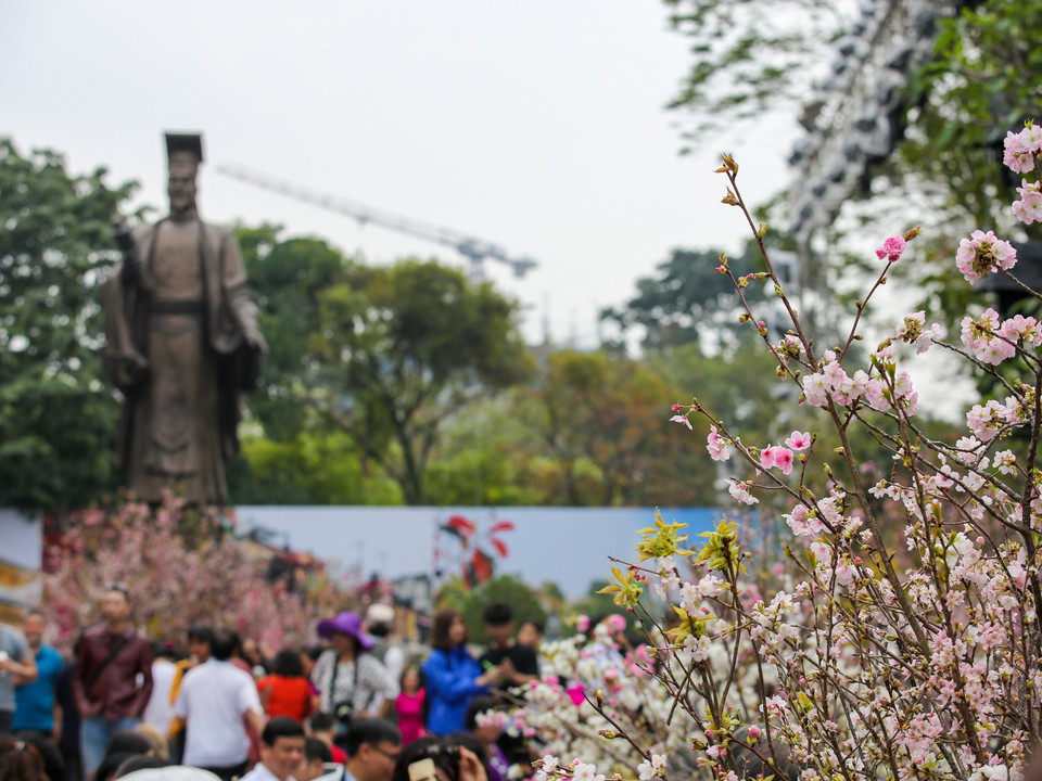 Trong khuôn khổ lễ hội, Hoa hậu hoa Anh Đào từ Nhật Bản sẽ đến Việt Nam cùng Chủ tịch Hiệp hội Văn hóa Quốc tế Nhật Bản Wanokai tặng và tham dự lễ trồng 200 cây hoa anh đào tại Công viên Hòa Bình. (Ảnh: Minh Sơn/Vietnam+)