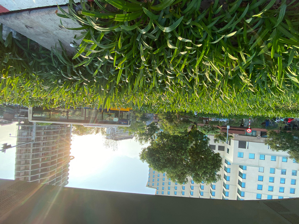 Chụp trong điều kiện ngược sáng mạnh, ảnh từ iPhone 11 sẽ xuất hiện hiện tượng flare (lóe sáng). (Ảnh: Minh Sơn/Vietnam+)