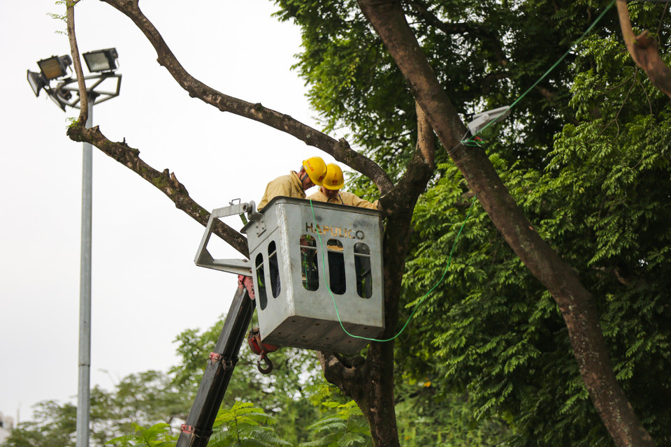 Toàn bộ cây xanh dọc các tuyến phố chính đã được cắt tỉa, chỉnh trang gọn gàng. (Ảnh: Minh Sơn/Vietnam+)